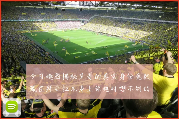 今日趣图揭秘罗哥的真实身份竟然藏在拜合拉木身上你绝对想不到的真相