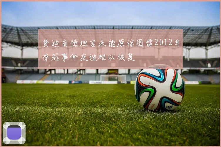 费迪南德坦言未能原谅图雷2012年夺冠事件友谊难以恢复