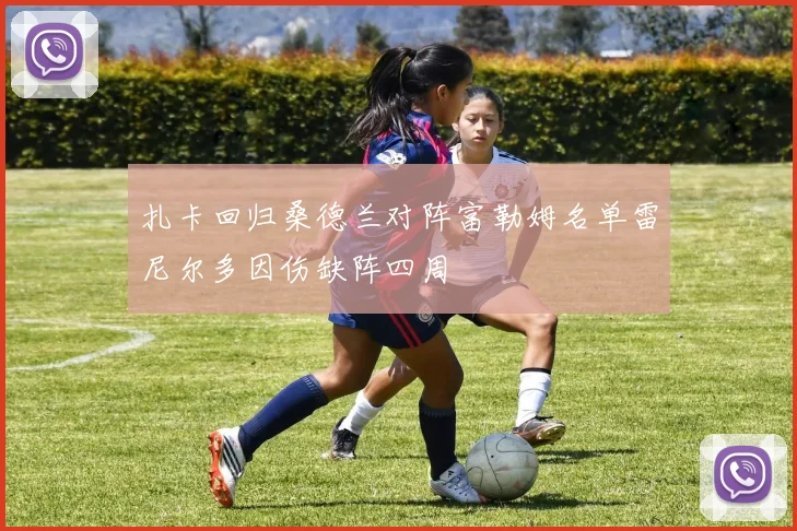 扎卡回归桑德兰对阵富勒姆名单雷尼尔多因伤缺阵四周