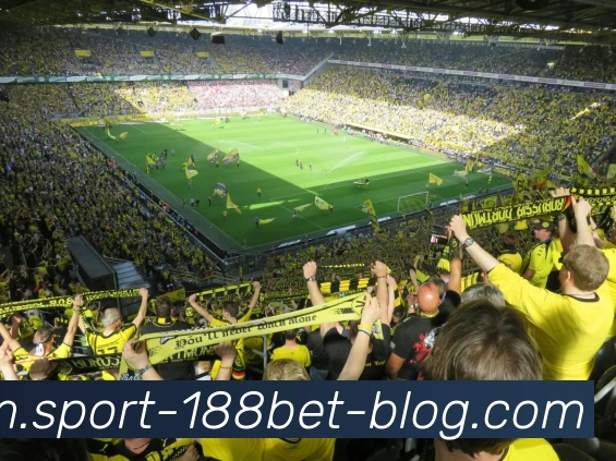 188bet体育服务体系